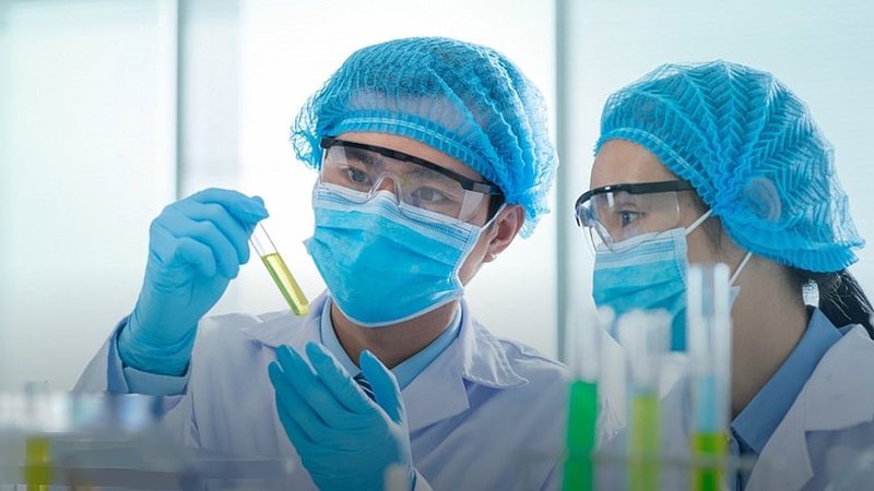医药中间体CAS号，批量查询的奥秘与技巧
