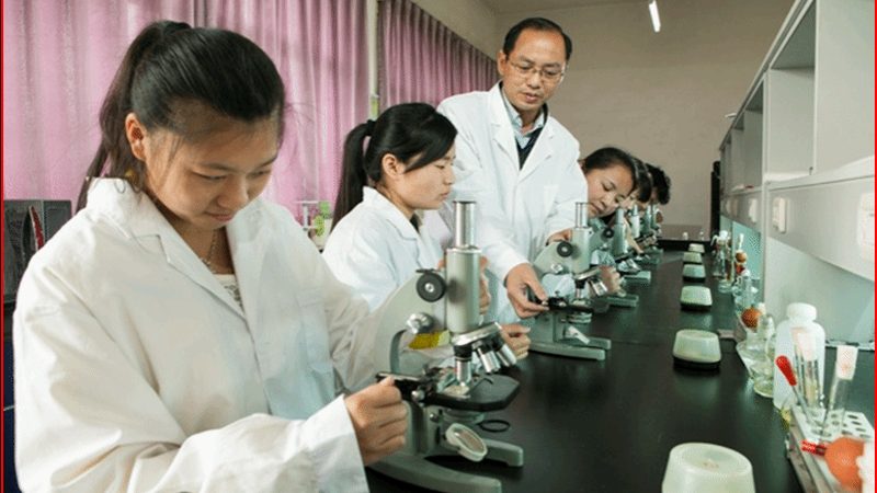 上海药用辅料定制：揭秘定制化背后的秘密