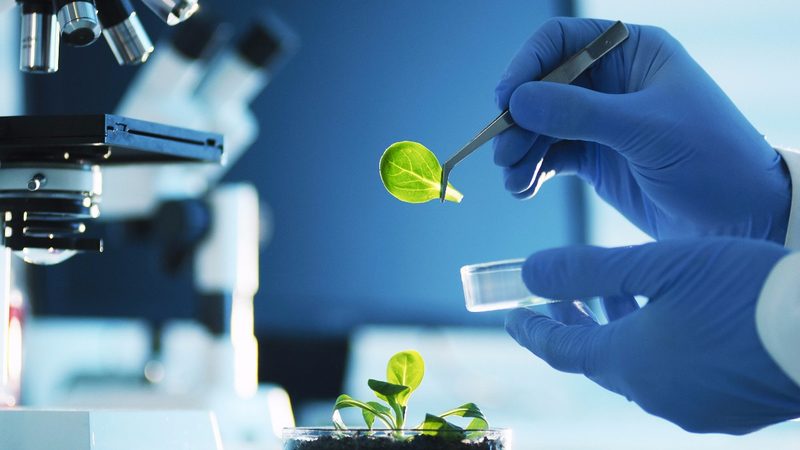 医药OEM代工成本解析：影响因素与计算方法