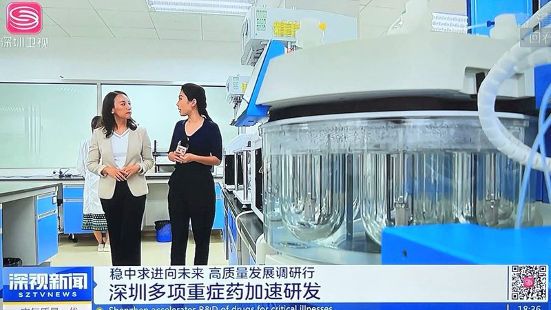 揭秘上海药用辅料生产企业排名背后的考量因素